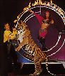 SpellBound image 9K GIF